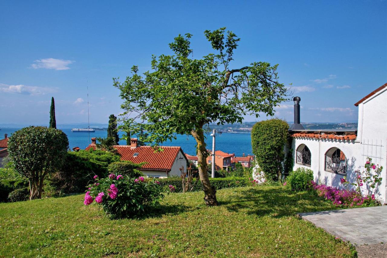 Apartma Ika Apartment Koper Luaran gambar
